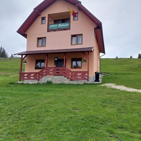 Cabana Gabriela Gârda de Sus Exterior photo